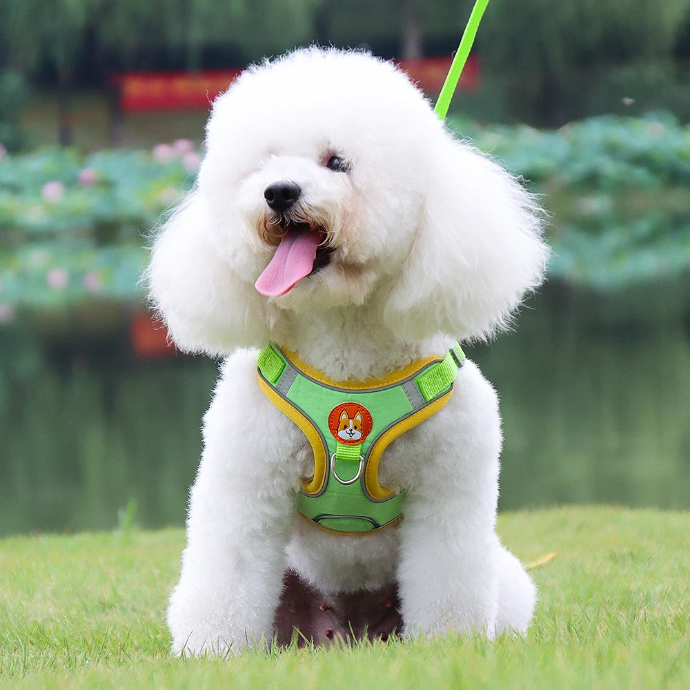 Dogs Adjustable Harness Leash Set for Small Medium Dogs Harness Vest Reflective Puppy Chest Strap Pet Walking Outdoor Supplies