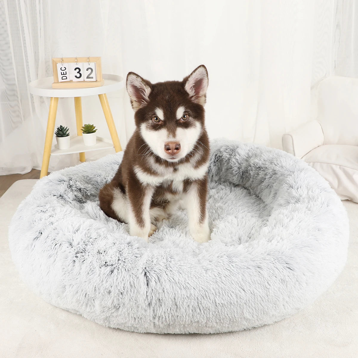 Dog Bed Donut Big Large Round Basket Plush Beds for Dogs Medium Accessories Fluffy Kennel Small Puppy Washable Pets Cat Products