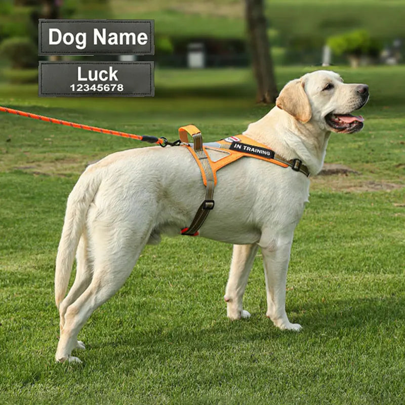 Personalized dog name dog harness no tension reflective breathable Labrador dog harness large dog outdoor walking training