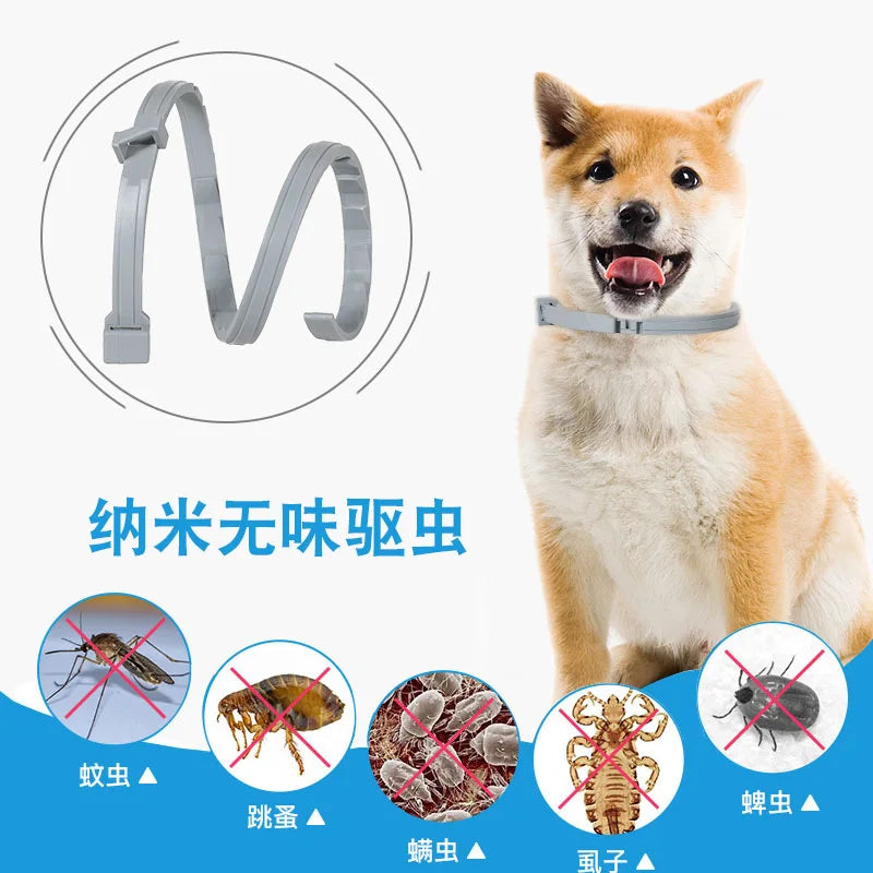 Dog Anti Flea And Ticks Cats Collar Pet 8Month Protection Retractable Pet Collars For Puppy Cat Large Dogs Accessories