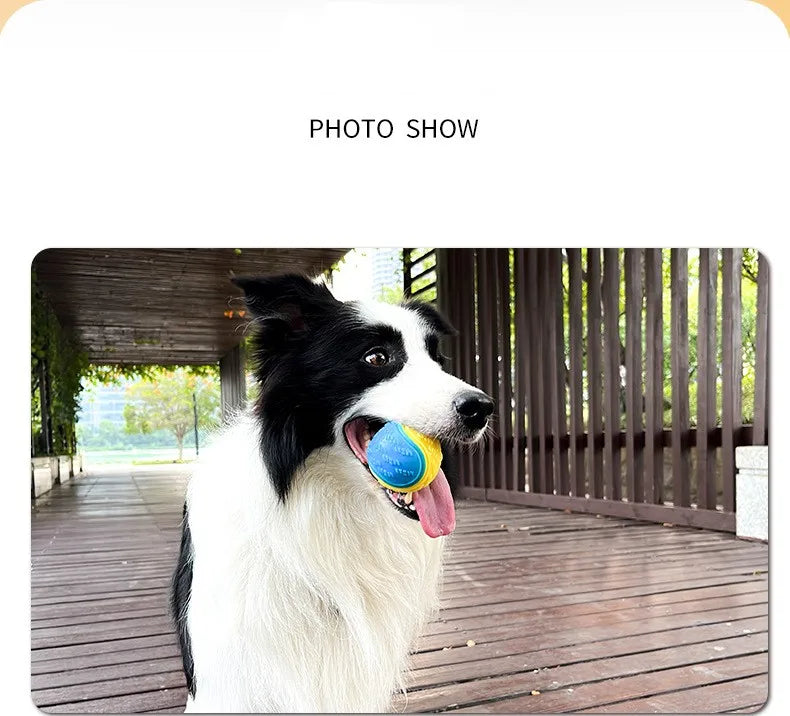 Bite-resistant Pet Dog Toy Rubber Ball Beef-flavored Elastic Ball To Prevent Dog From Destroying Things Dog Training Supply