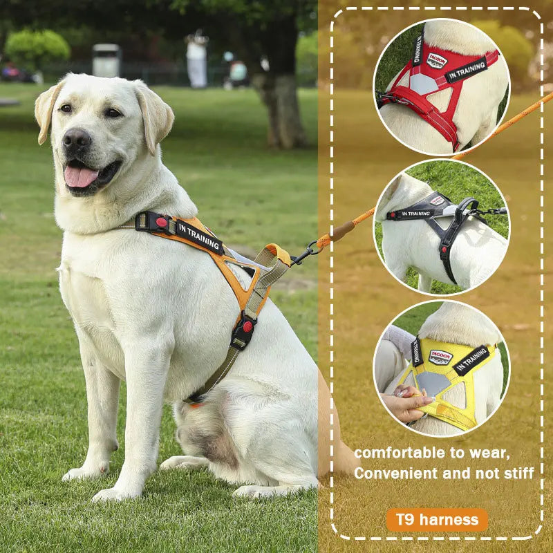 Personalized dog name dog harness no tension reflective breathable Labrador dog harness large dog outdoor walking training