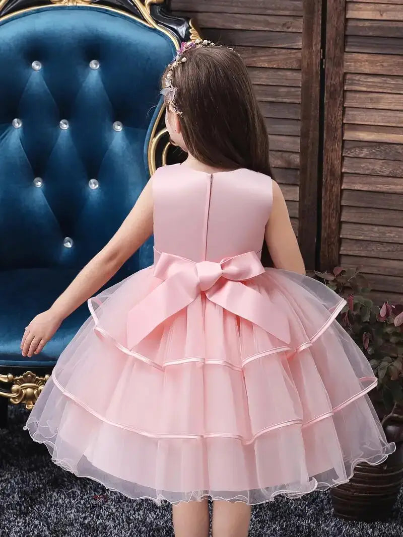 Girls Princess Dress Sleeveless Flower Embroidery Tutu Dress Performance Dress Wedding Flower Girls For Evening Birthday #5810